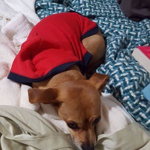 Meet your Posher, Marta